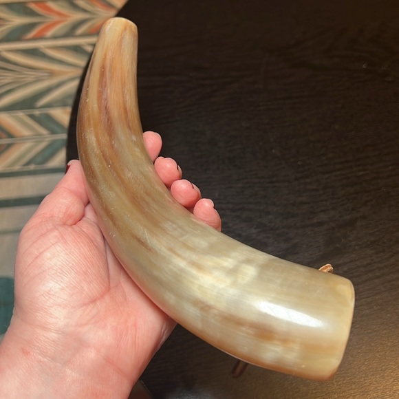 Vintage Bull Horn Powder Horn Decor - Picture 7 of 7
